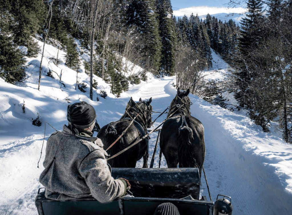 Pferdeschlittenfahrten im Gasteinertal Jemand genießt romantische Pferdeschlittenfahrten im Gasteinertal und fährt mit einer Pferdekutsche über einen verschneiten Waldweg, umgeben von Kiefern und fernen Bergen unter klarem Himmel – ein aktives und entspannendes Erlebnis im Winterwunderland in der Nähe des Gesundheitsresorts GXUND.