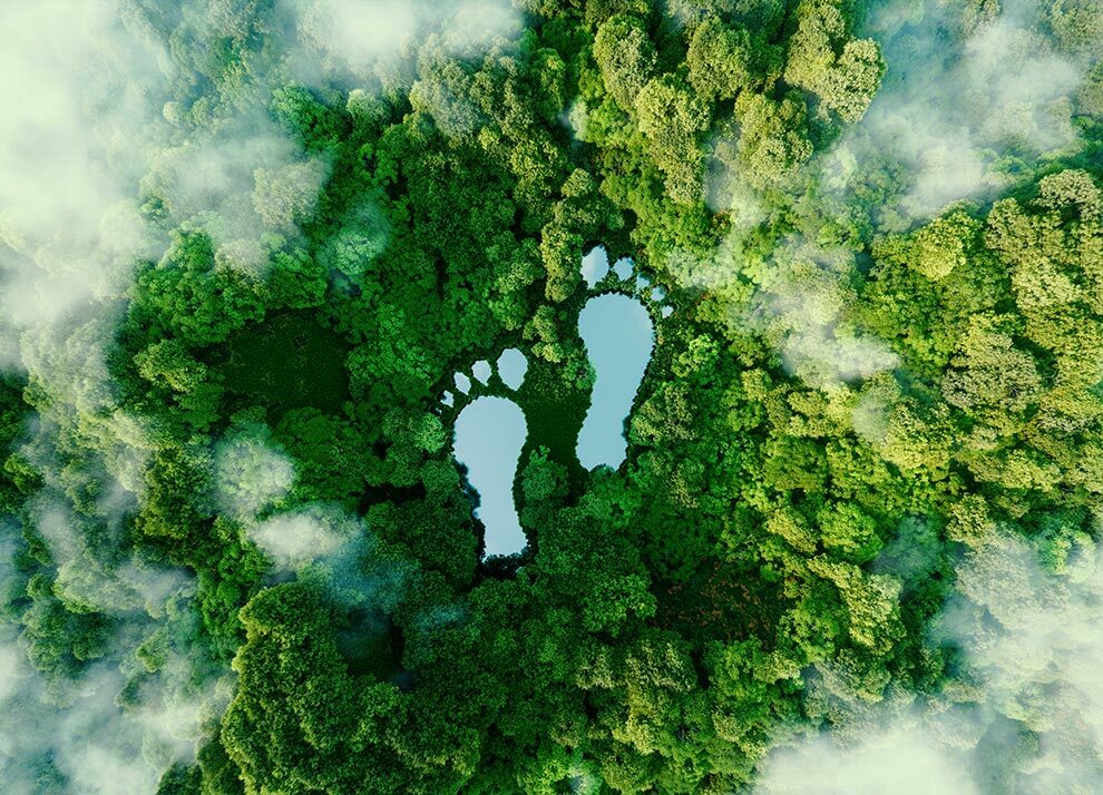 Berechnen Sie Ihren ökologischen Fußabdruck für mehr Nachhhaltigkeit