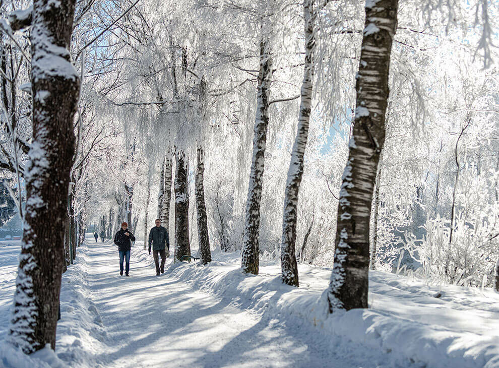 Winterwandern im Winterurlaub in Bad Hofgastein, Gasteinertal